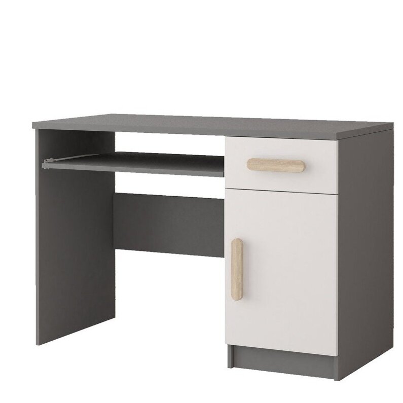 Darbo stalas 08 SM II 15 Darbo stalas 08 SM II 15