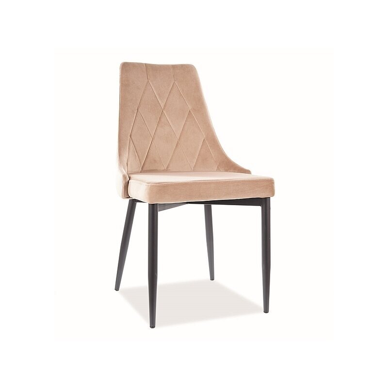 Kėdė TORI B 8 Kėdė TORI B 8