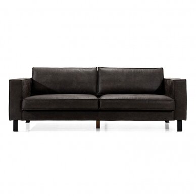 Sofa AM 1