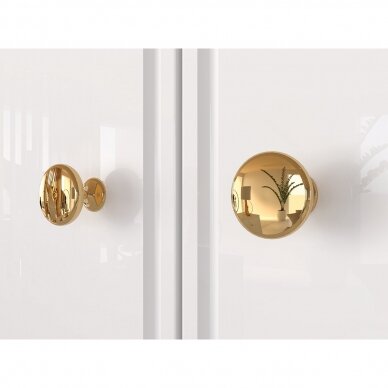 Spinda Aladin 01 6 Spinda Aladin 01 6