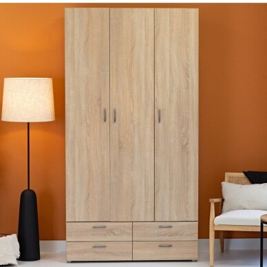 Spinta Basic 3D4S Spinta Basic 3D4S