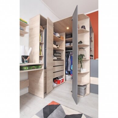 Spinta Delta (DL1 L/P) 1 Spinta Delta (DL1 L/P) 1