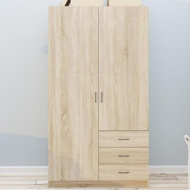 Spinta GAYA 2D3S (Kopija)