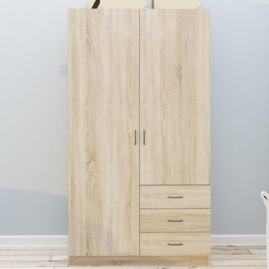 Spinta GAYA 2D3S Spinta GAYA 2D3S