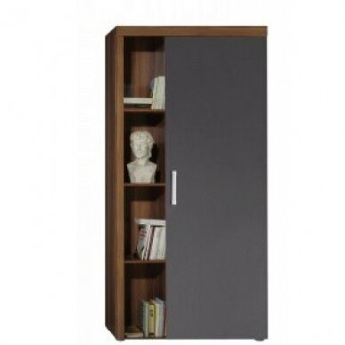 Spinta Mamba 2 Spinta Mamba 2