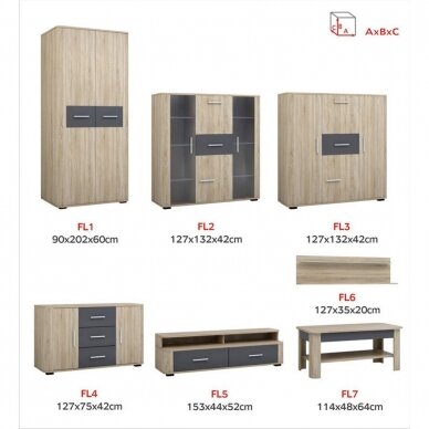 Lentyna LIF 6 3 Lentyna LIF 6 3