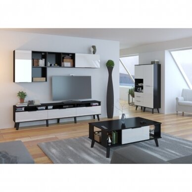 Spinta Sven SVN-13 1