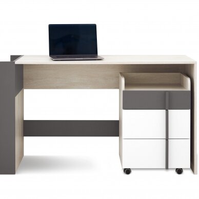 Spintelė Remo (RM11) 1 Spintelė Remo (RM11) 1