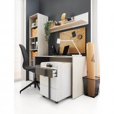 Spintelė Remo (RM11) 2