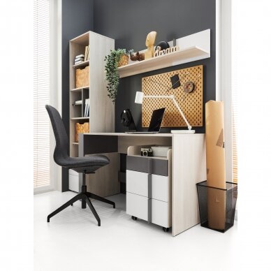 Spintelė Remo (RM11) 3