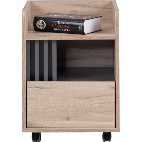 Spintelė Allmo (AL10) Spintelė Allmo (AL10)