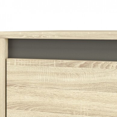 Darbo stalas AVO 10 8