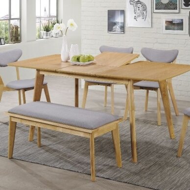 Stalas SBR 1 Stalas SBR 1