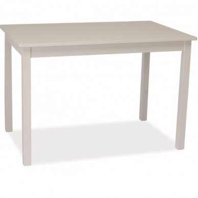 Stalas SFI 80x60