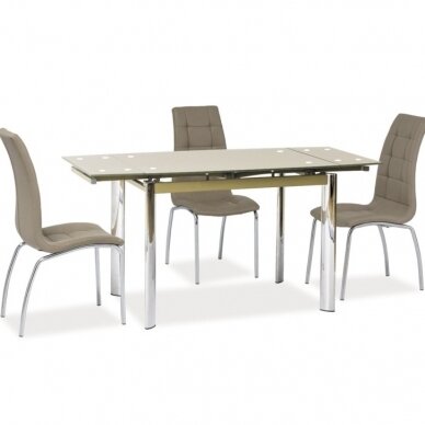 Stalas SGD-019 1