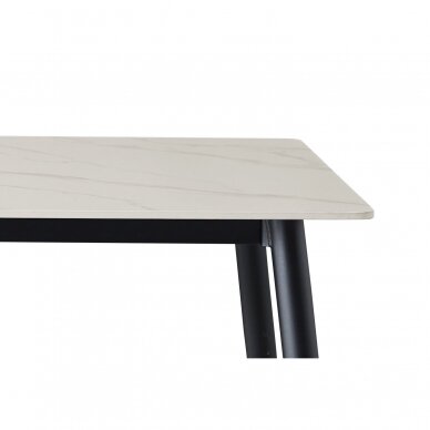 Stalas Rion 12