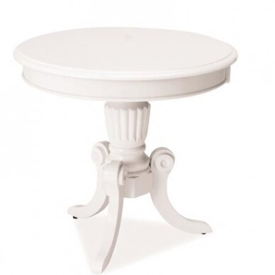 Žurnalinis Staliukas SNEV D Žurnalinis Staliukas SNEV D