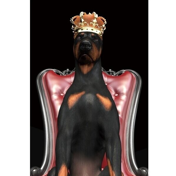 Foto paveikslas Šuns įvaizdis karūnoje