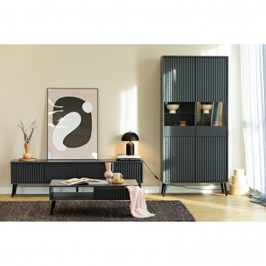 TV staliukas Barcelona Black 2 5