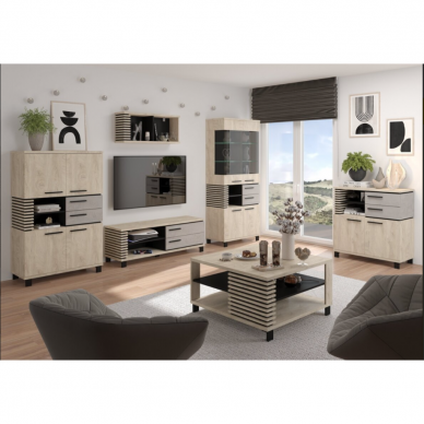 TV staliukas LAMIR-11 7 TV staliukas LAMIR-11 7