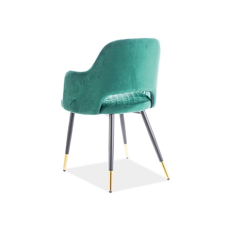 Valgomojo komplektas Vegas 12 Valgomojo komplektas Vegas 12