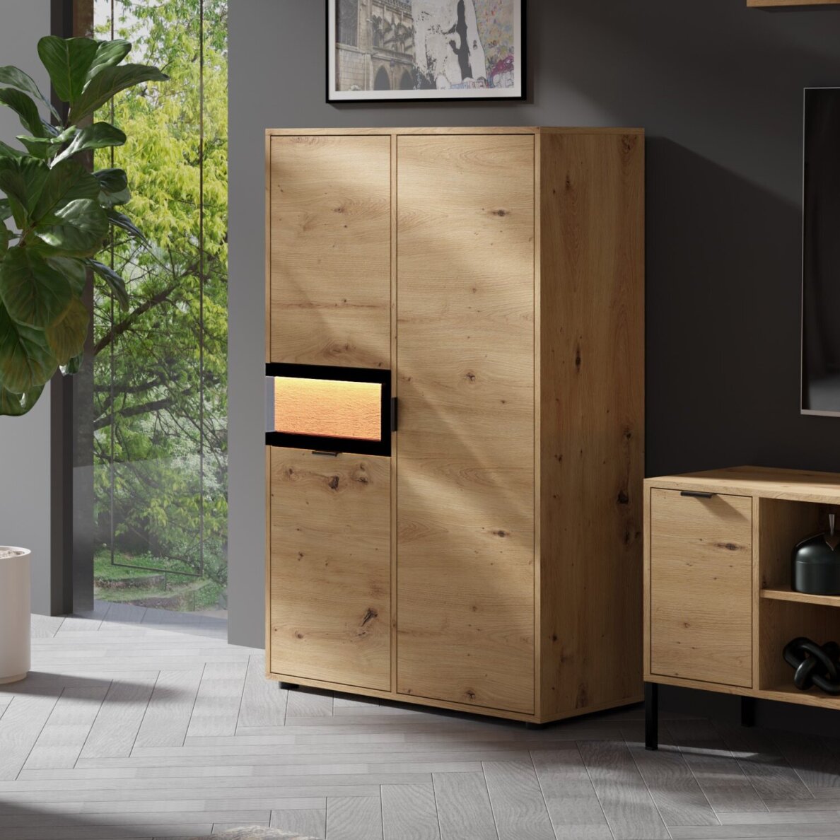 Vitrina žema Evolution EV2a