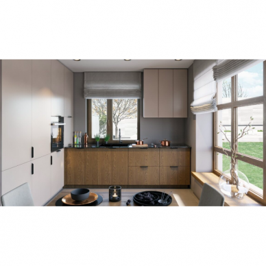 Virtuvinė spintelė indukcinei viryklei Sorento [W D60IN] 6