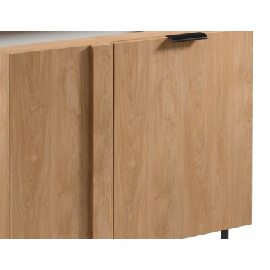 Virtuvinė spintelė Sorento [B D100N] 3