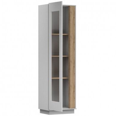 Vitrina 02 GREY 1D 2