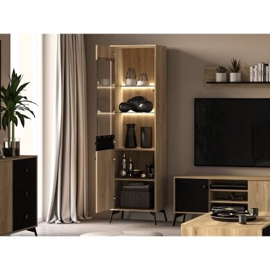 Vitrina Agis 02 1