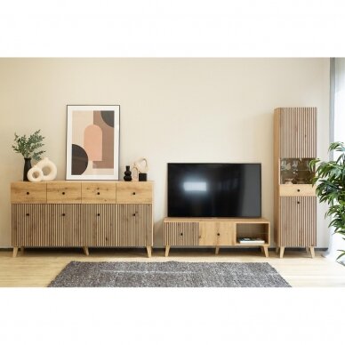 Vitrina Berlin 2D 7