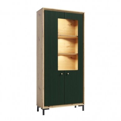 Vitrina PARII PZ02 (green) Vitrina PARII PZ02 (green)
