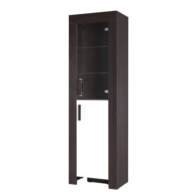 Vitrina REZA 6 1 Vitrina REZA 6 1