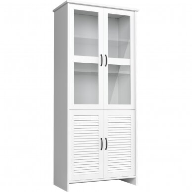 Vitrina RNT W2DS Vitrina RNT W2DS