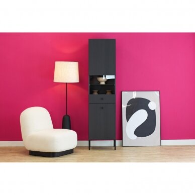 Vitrina Viena Black 2D 2