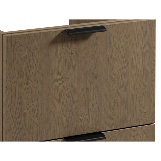 Virtuvinė spintelė indukcinei viryklei Sorento [W D60IN] 4