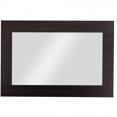 Veidrodis REZA 20 1 Veidrodis REZA 20 1