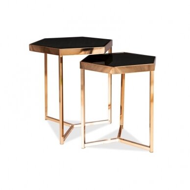 Žurnalinių staliukų rinkinys MS Žurnalinių staliukų rinkinys MS