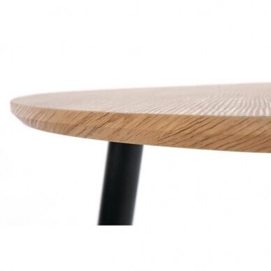 Žurnalinių staliukų rinkinys Nicea 2 11