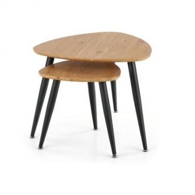 Žurnalinių staliukų rinkinys Nicea 2 2 Žurnalinių staliukų rinkinys Nicea 2 2