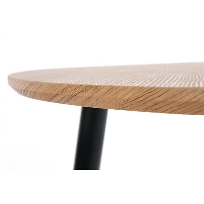 Žurnalinių staliukų rinkinys Nicea 2 11